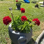 Kuca Za Odmor Family Horská chata Fužine