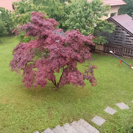 Domek alpejski Kuca Za Odmor Family