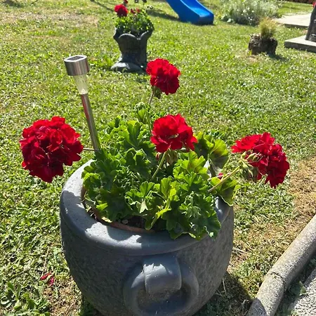 Kuca Za Odmor Family Domek alpejski Fužine