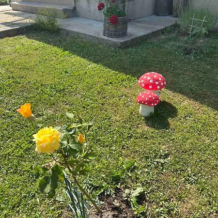 Horská chata Kuca Za Odmor Family Fužine