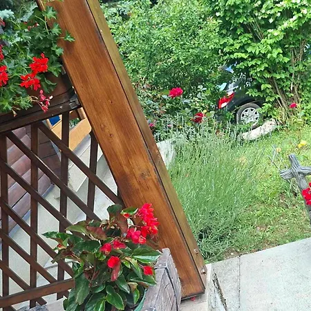 Kuca Za Odmor Family Dağ evi *